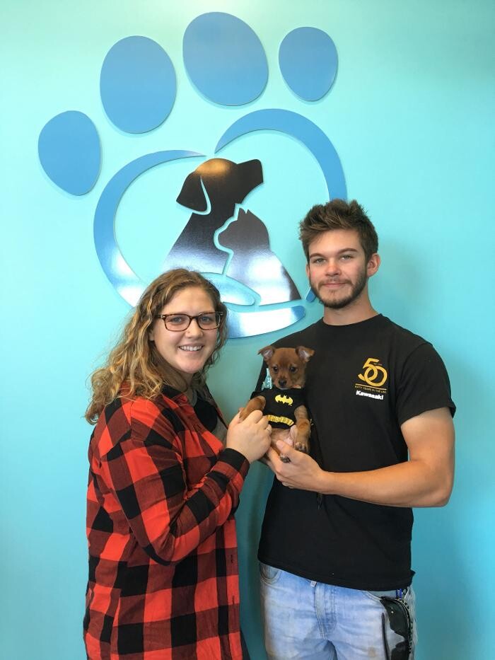 Images Noble West Animal Hospital