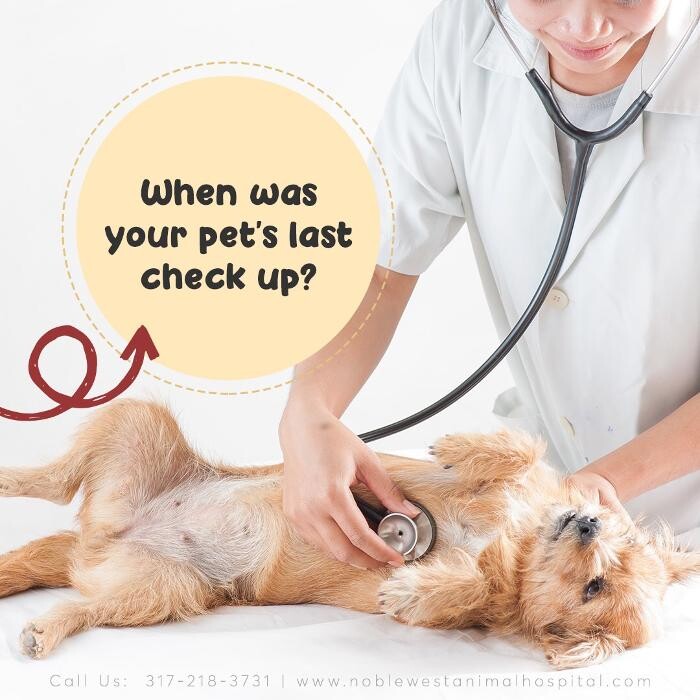 Images Noble West Animal Hospital