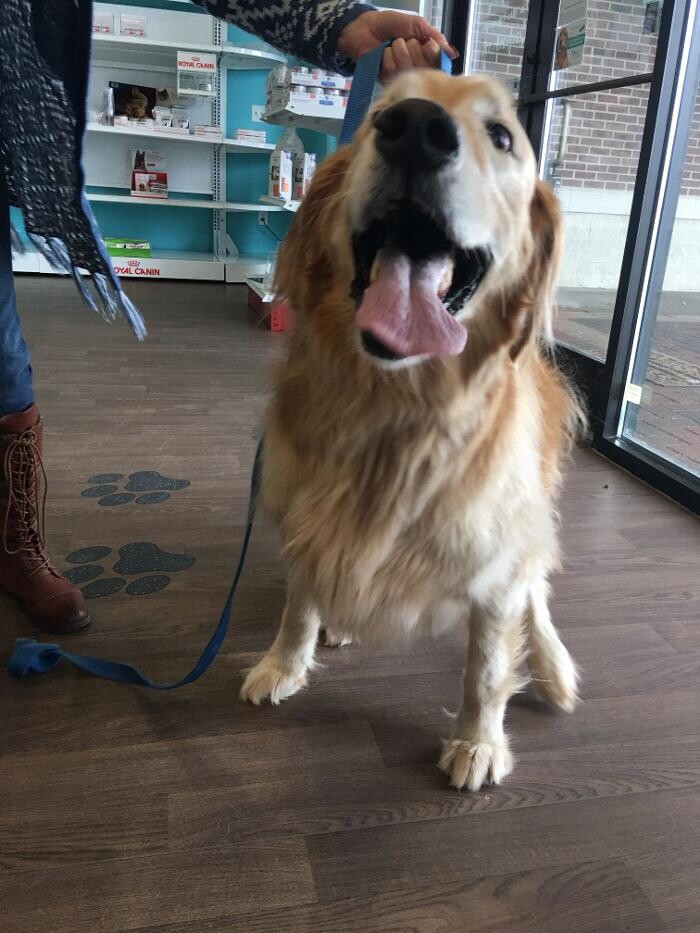 Images Noble West Animal Hospital