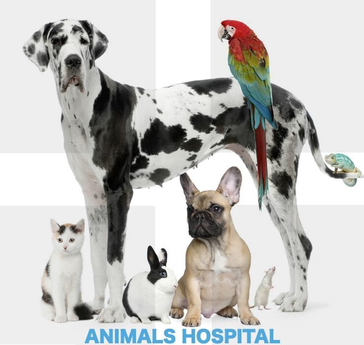 Images Noble West Animal Hospital