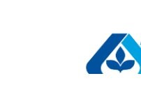 Website Screenshot Albertsons Market