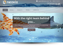 Screenshot for https://neovix.com