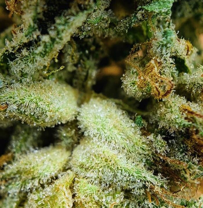 Images Greenfields Cannabis Dispensary