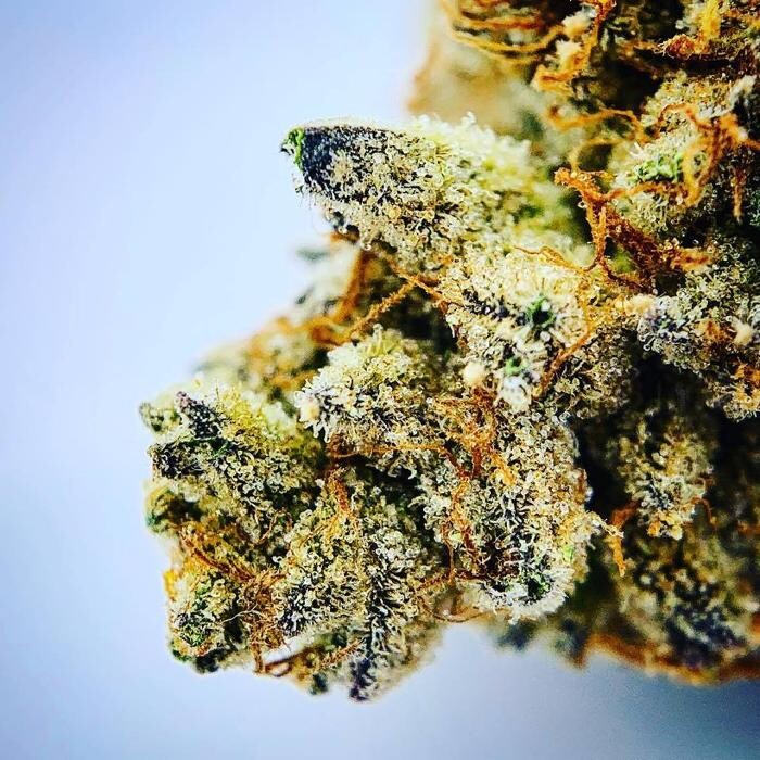 Images Greenfields Cannabis Dispensary