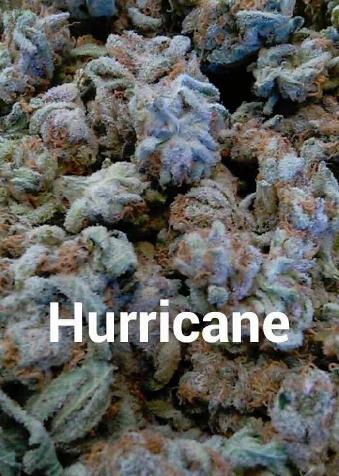 Images Greenfields Cannabis Dispensary