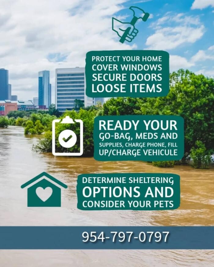 Images GM Door Window and Screen
