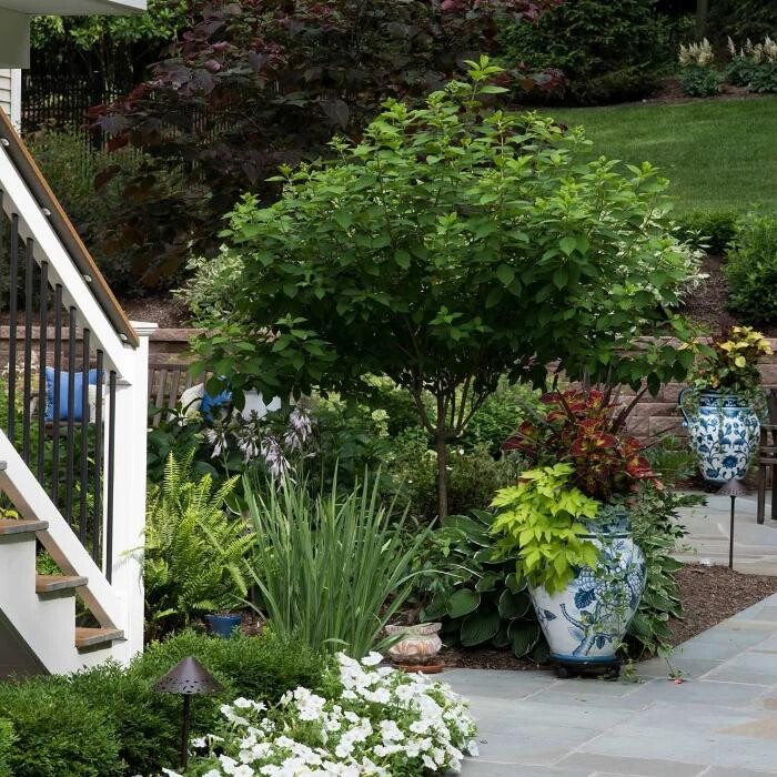 Images Distinctive Lawn & Landscape