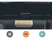 MicroAnt LLC website screenshot