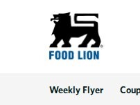 Website Screenshot Food Lion