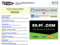 Bay Security Company Inc website screenshot