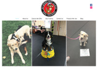 My Dog's Got Class website screenshot