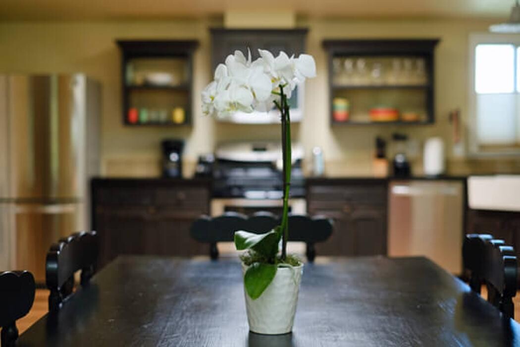 Images The Cottages Of Napa Valley