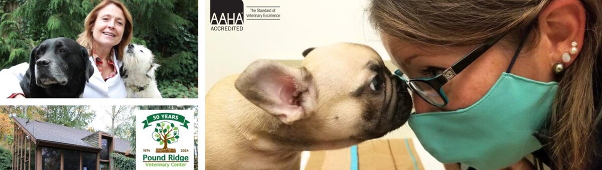 Images Pound Ridge Veterinary Center