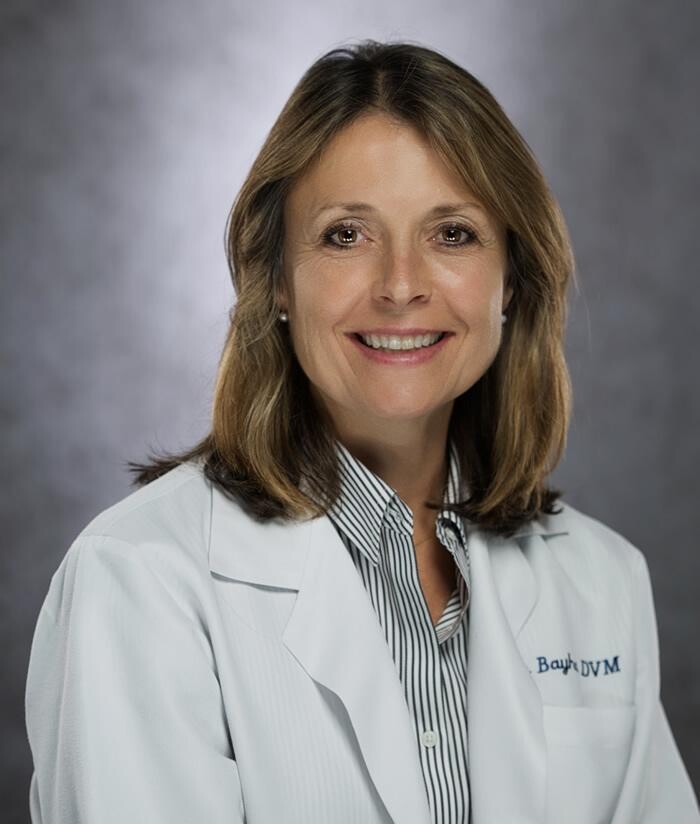 Images Pound Ridge Veterinary Center