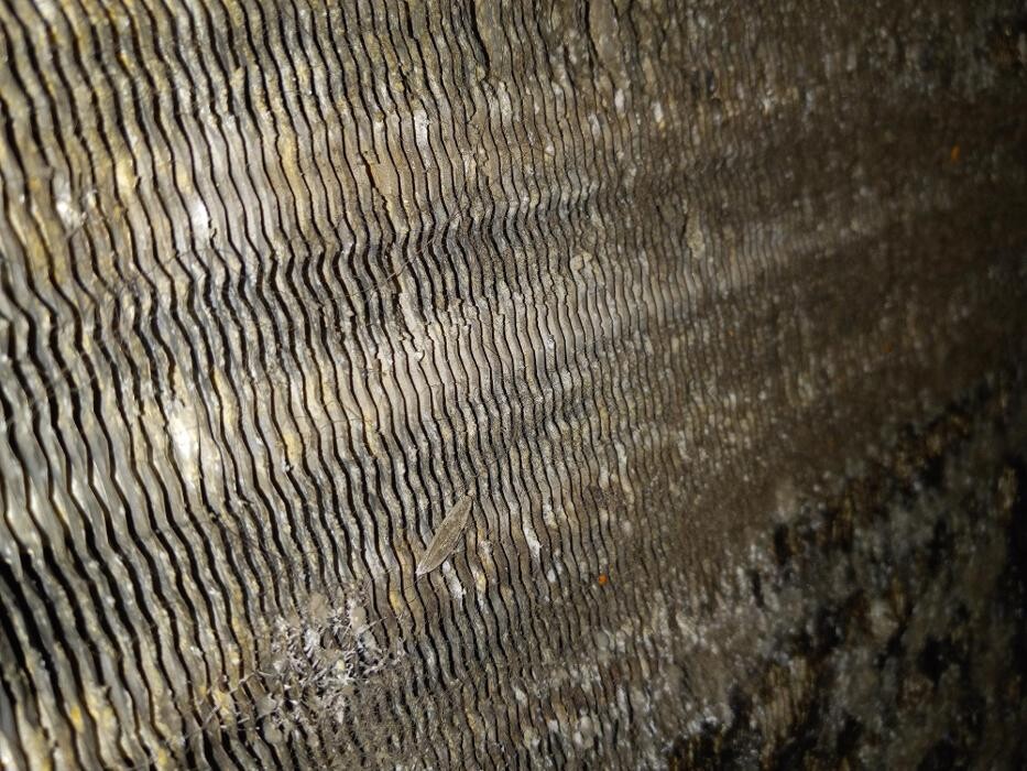 Images AirOne Heating and Air Conditioning