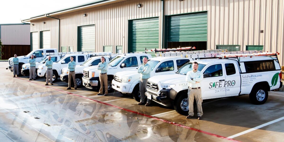 Images Safe Pro Pest Control