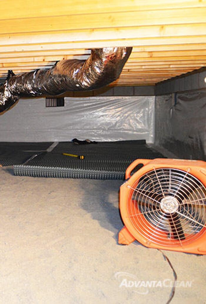 Images AdvantaClean of Metro New Orleans