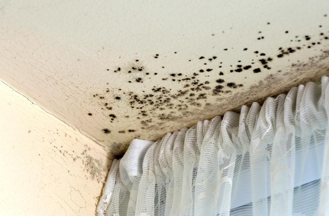 Images AdvantaClean of Metro New Orleans