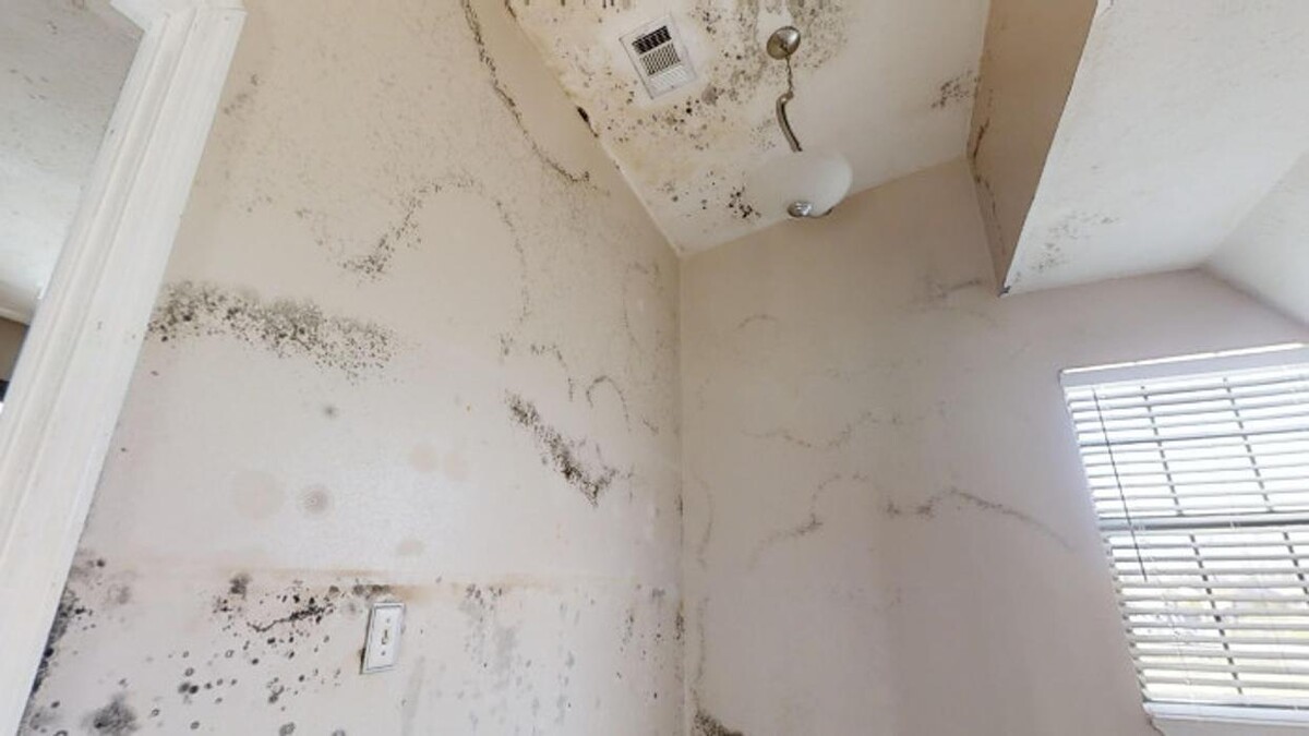 Images AdvantaClean of Metro New Orleans