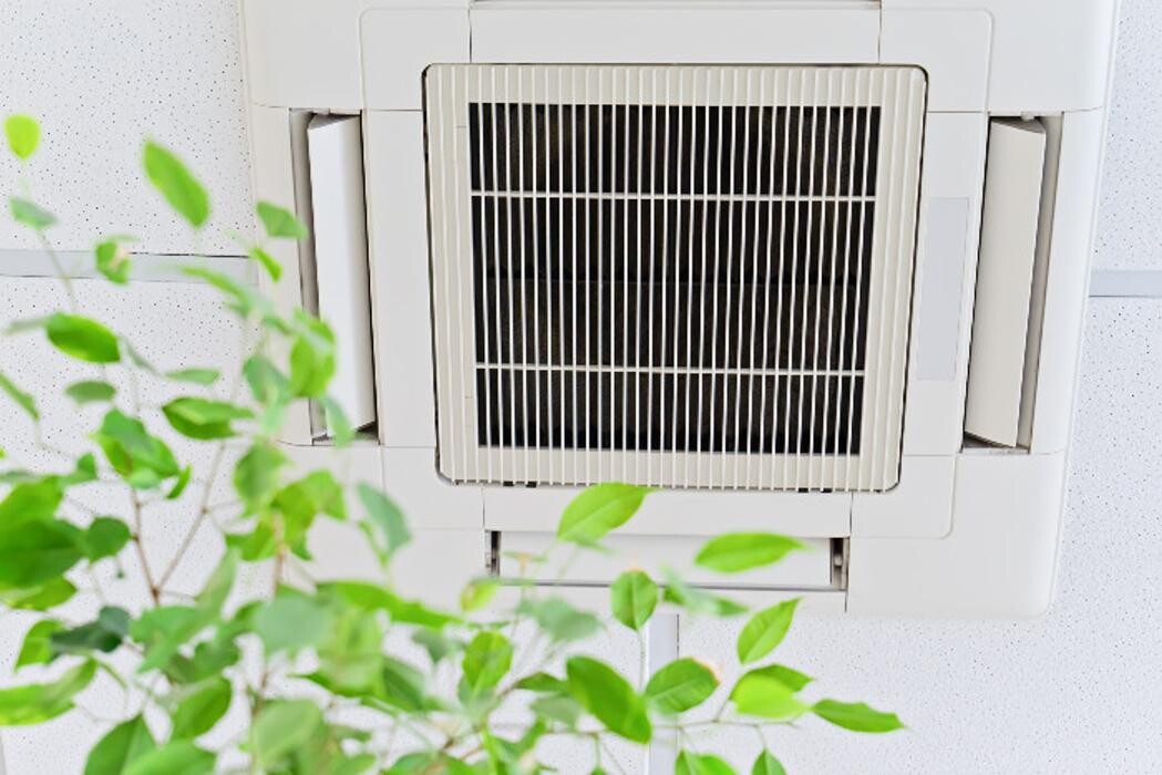Images AdvantaClean of Metro New Orleans