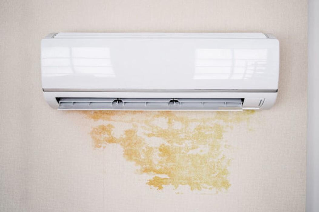 Images AdvantaClean of Metro New Orleans