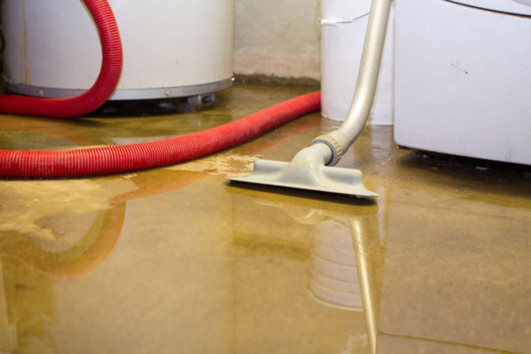 Images AdvantaClean of Metro New Orleans