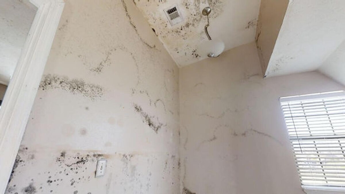 Images AdvantaClean of Metro New Orleans
