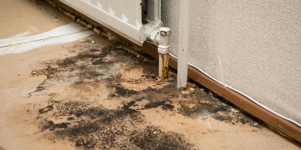 Images AdvantaClean of Lake Norman, Hickory & Gastonia