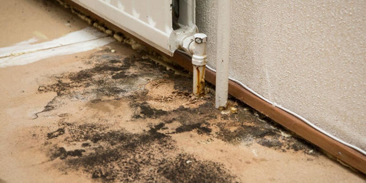 Images AdvantaClean of Lake Norman, Hickory & Gastonia