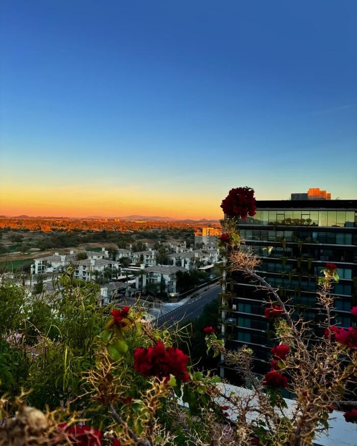 Images Optima Kierland Apartments