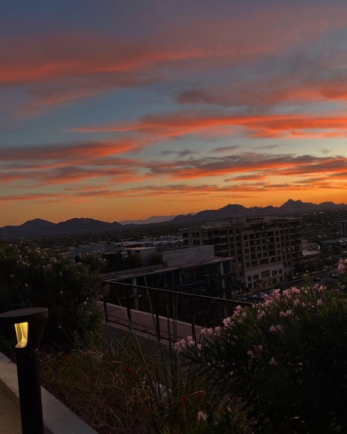 Images Optima Kierland Apartments
