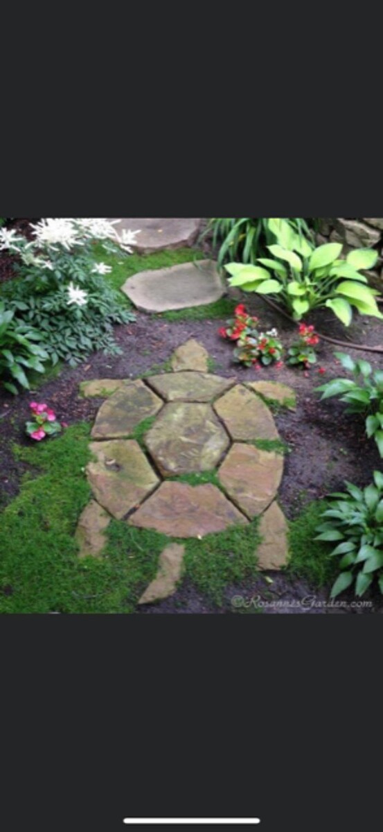 Images Professional Lawn Care