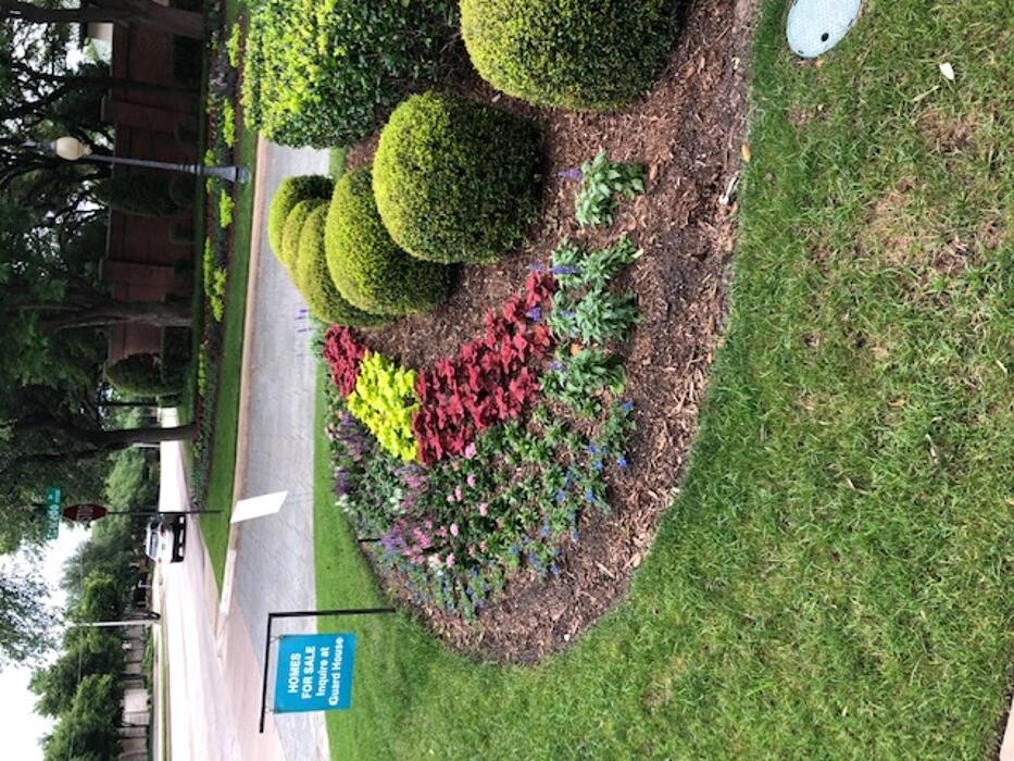 Images Professional Lawn Care