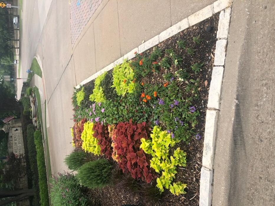 Images Professional Lawn Care