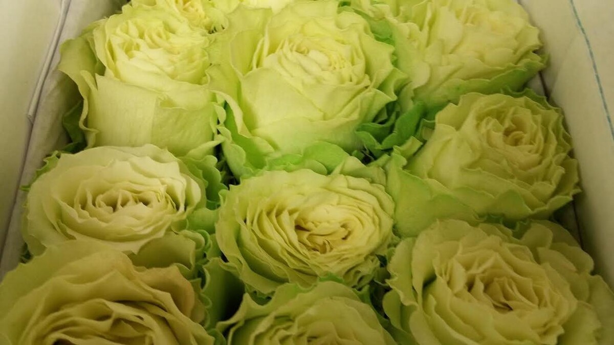Images Norfolk Florist