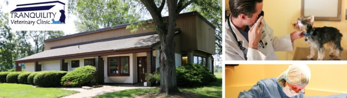 Images Tranquility Veterinary Clinic