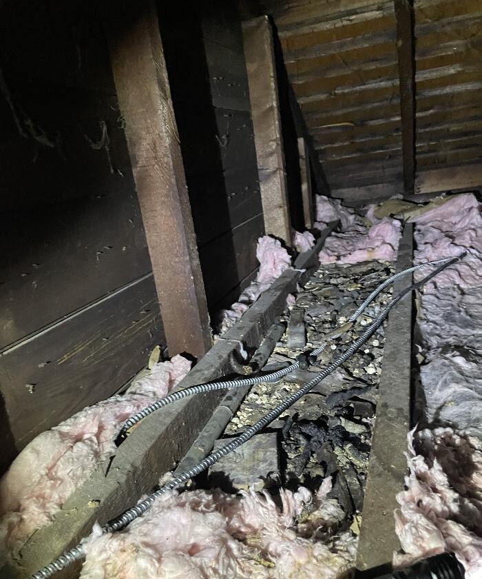 Images Magic Touch Exterminating and Wildlife Control
