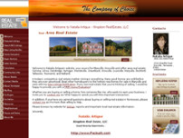 Screenshot for http://nataliaartigue.point2agent.com