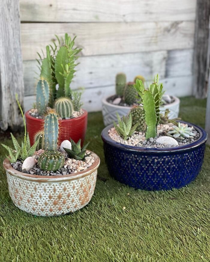 Images A1A Sod, Sand & Soil, Inc.