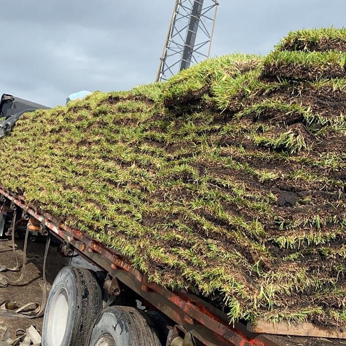 Images A1A Sod, Sand & Soil, Inc.