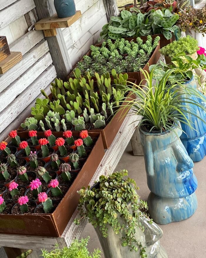 Images A1A Sod, Sand & Soil, Inc.