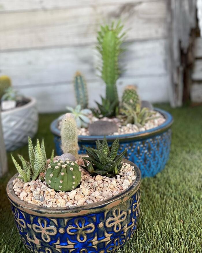 Images A1A Sod, Sand & Soil, Inc.