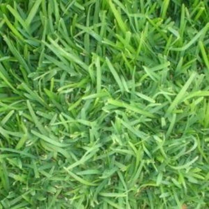 Images A1A Sod, Sand & Soil, Inc.