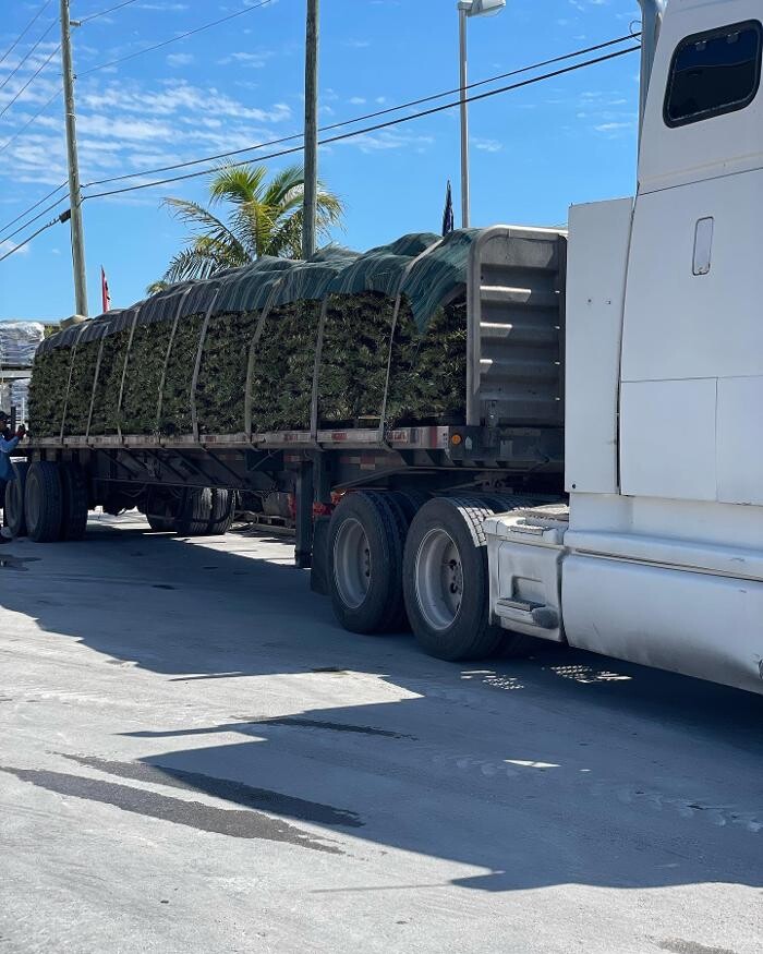 Images A1A Sod, Sand & Soil, Inc.