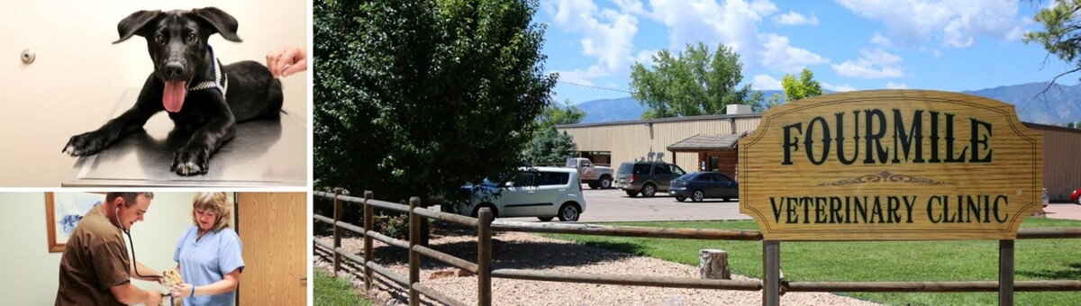 Images Fourmile Veterinary Clinic