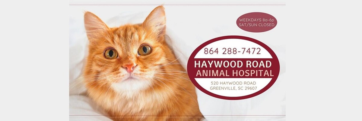 Images Haywood Road Animal Hospital