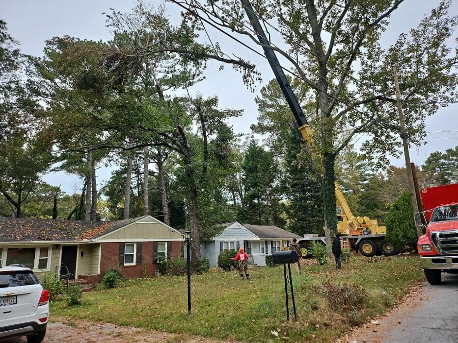 Images Southeast Tree