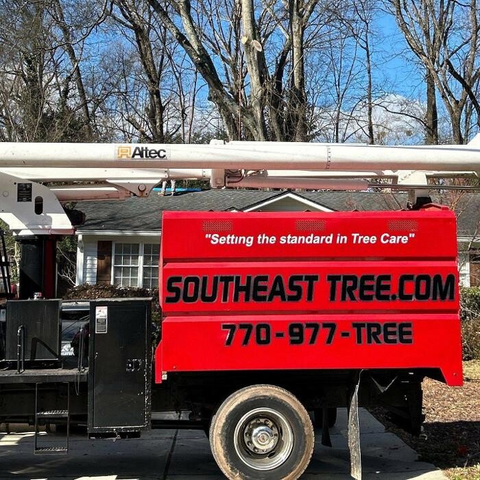 Images Southeast Tree