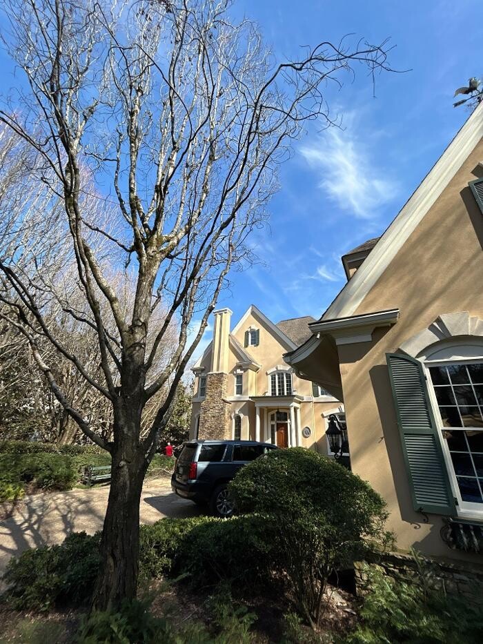 Images Southeast Tree