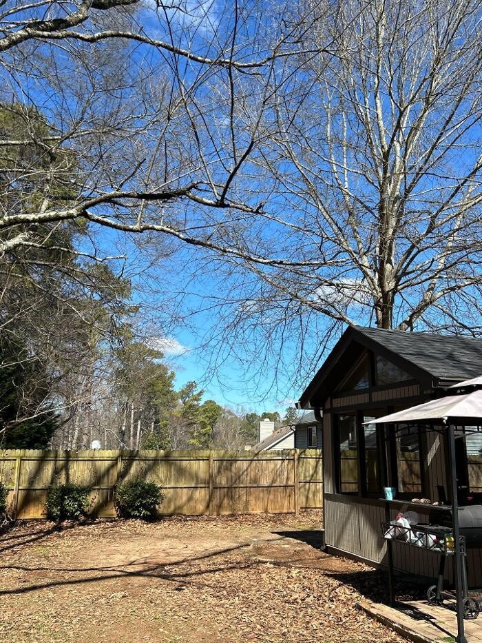 Images Southeast Tree